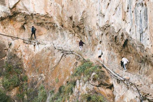 Hotels That Offer Unique Wildlife Experiences